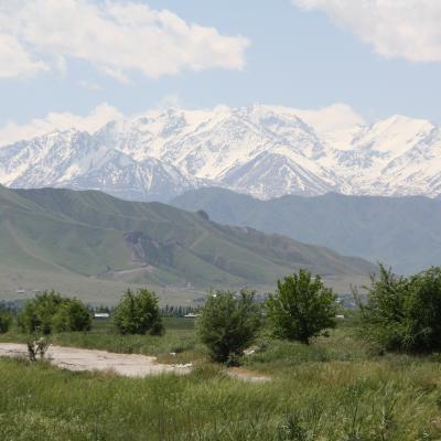 Zentralasien Mai 2010 502